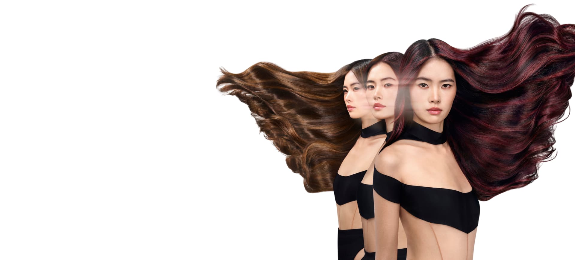 L'Oréal Professionnel - Img Banner